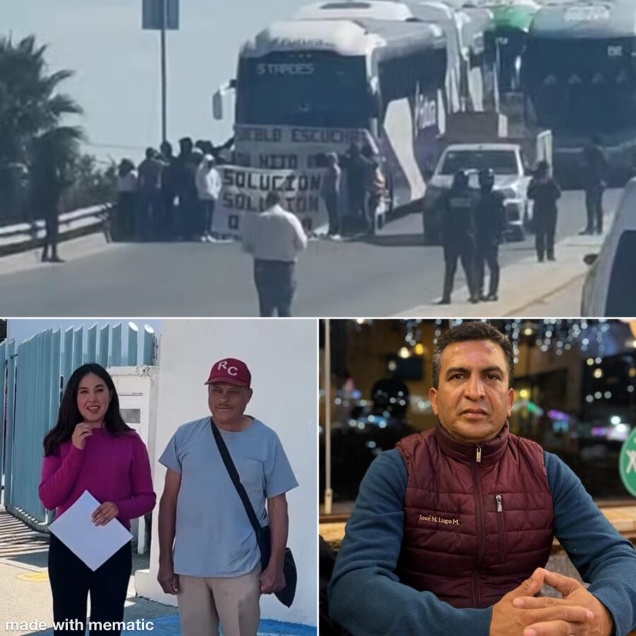 El Correo de las Brujas.