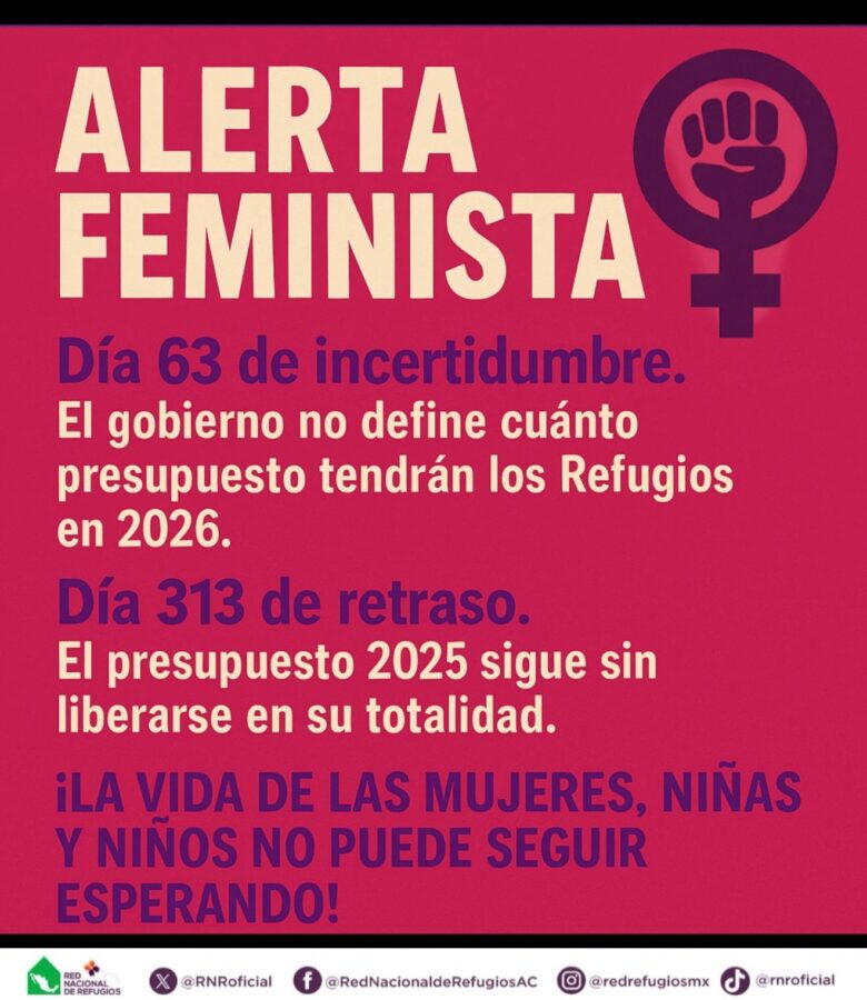 Falta de transparencia en PEF 2026 para Refugios es violencia institucional: RNR.