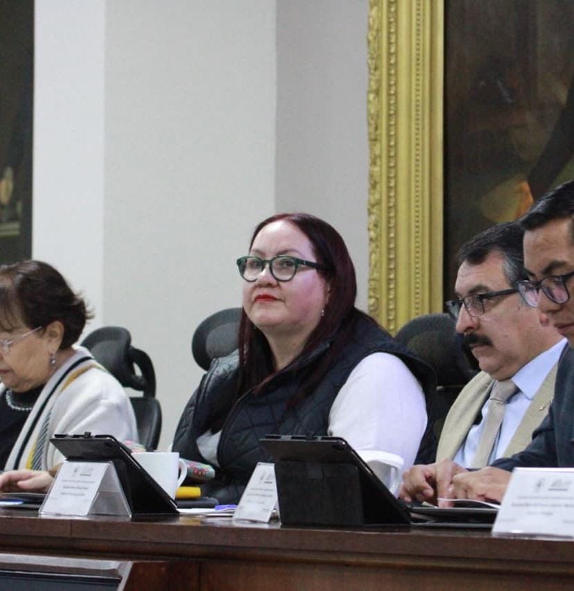 Llama Tania Meza a tipificar el acoso sexual en Hidalgo