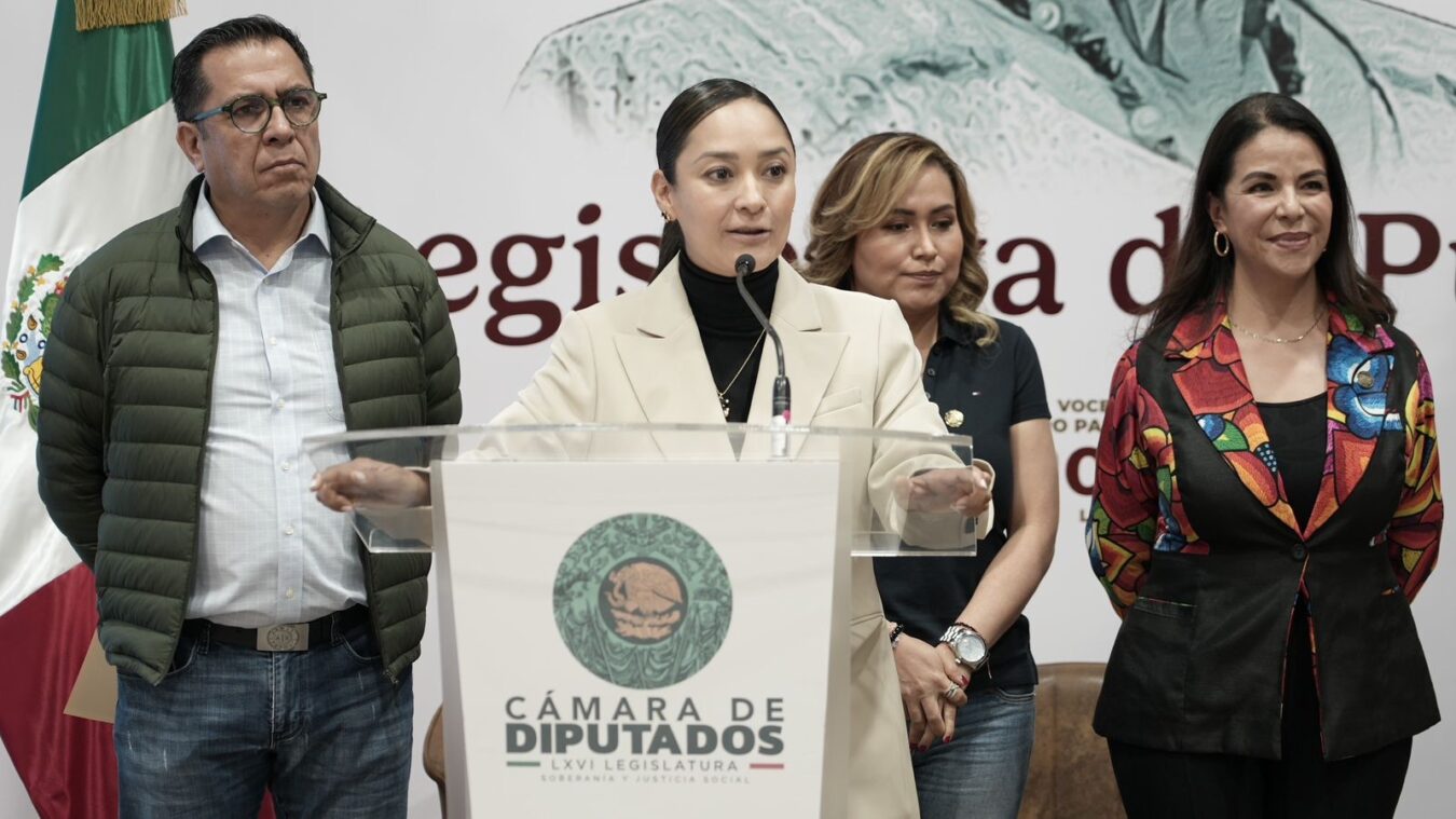 Legisladores federales llaman a participar en consulta sobre parque ecológico en la región de Tula