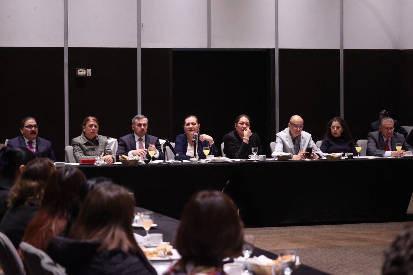 El Sistema Nacional de Elecciones funciona: Guadalupe Taddei