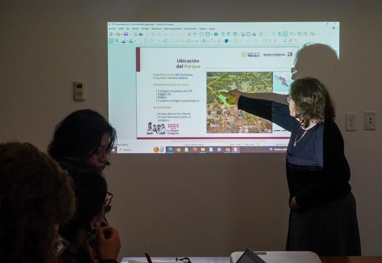 Greenpeace acusa a Semarnat de simular diálogo sobre Parque de Economía Circular en Hidalgo