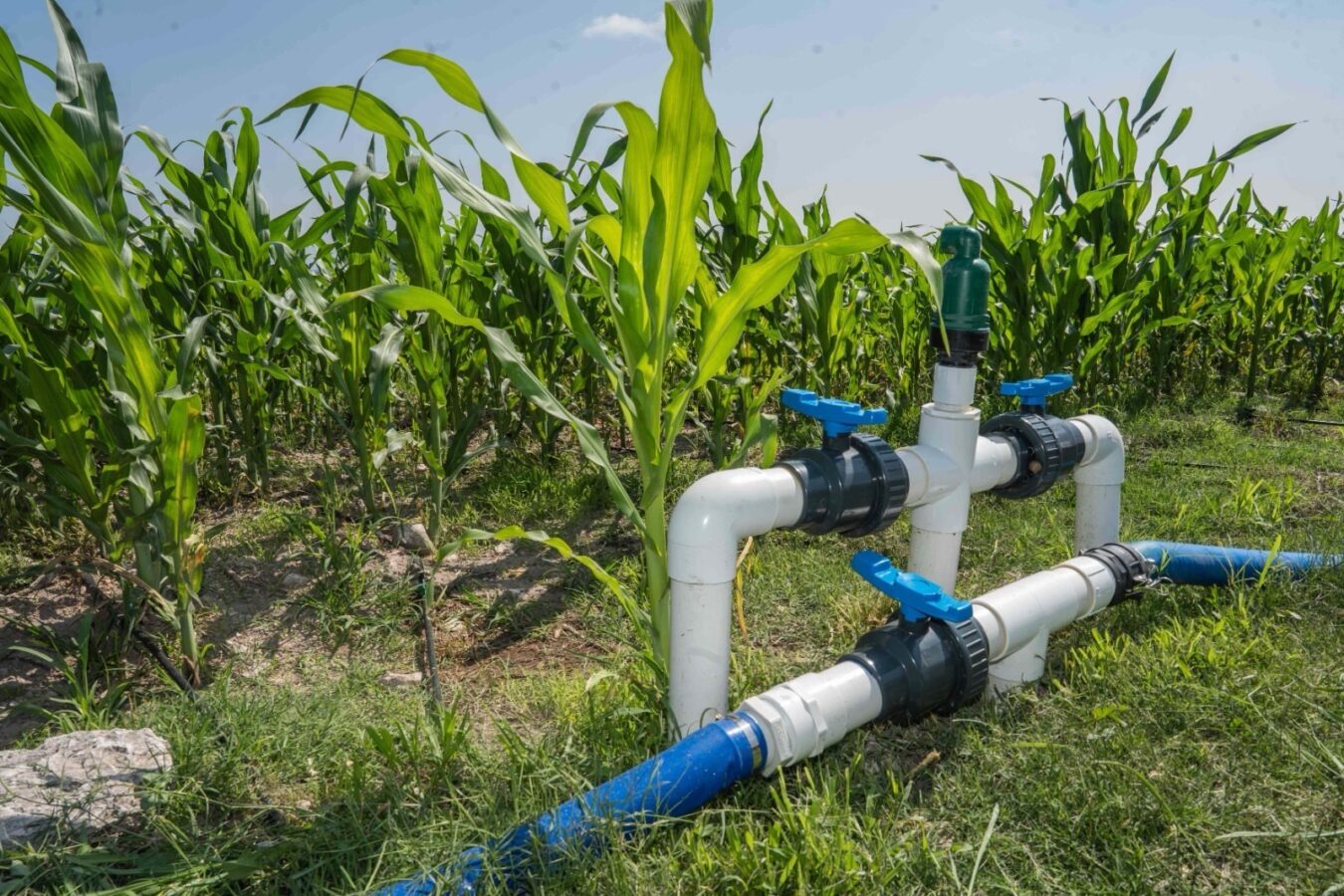 Se amplía el periodo de inscripción y reinscripción al PEUA hasta el 28 de abril de 2026