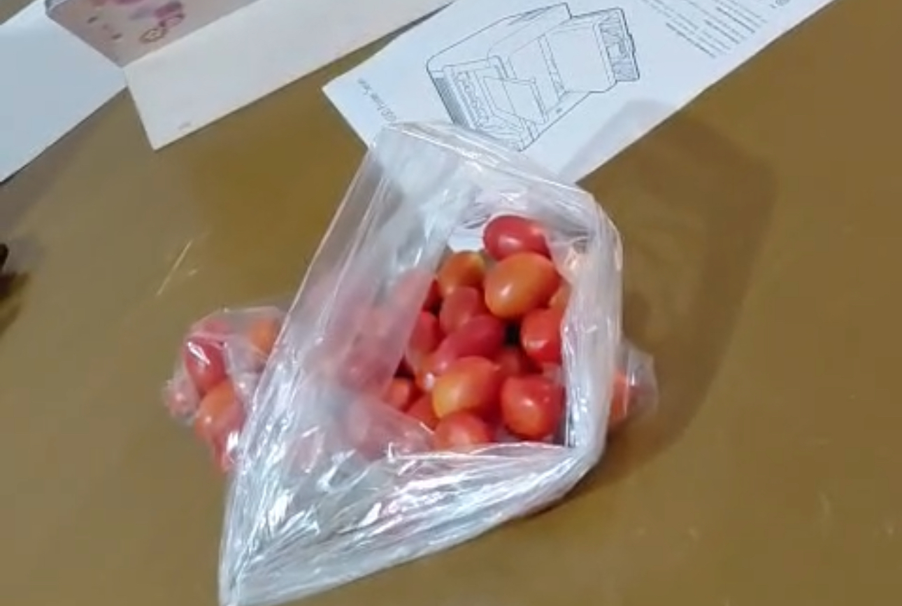 Cambian votos para comité seccional de Morena ¡por jitomates! 