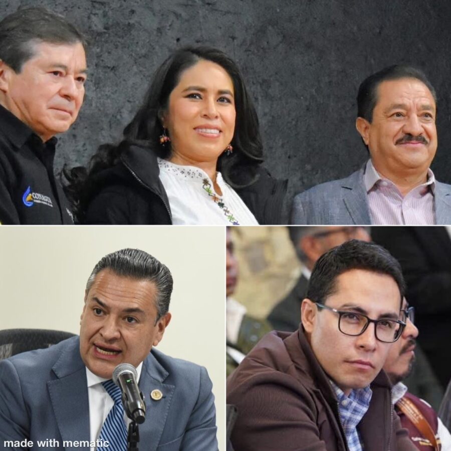 El Correo de las Brujas 