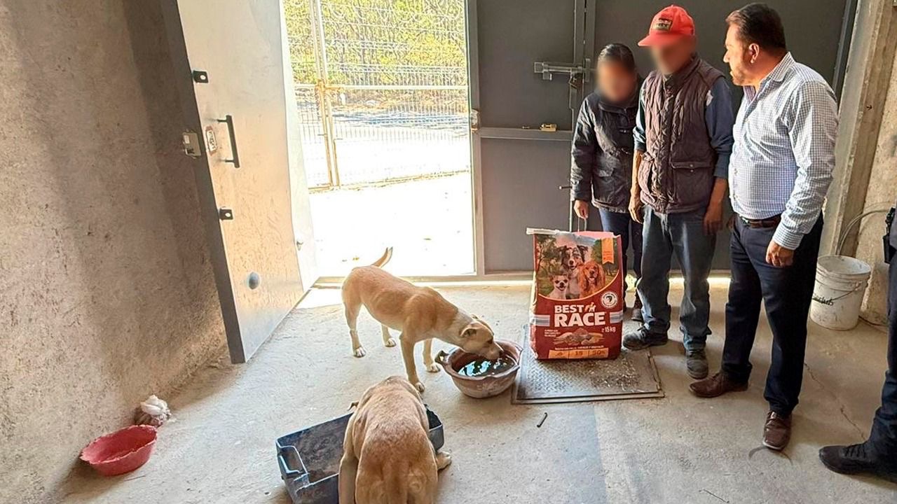 Rescate efectivo en Tula: Gobierno municipal salva a canino tras reporte en redes