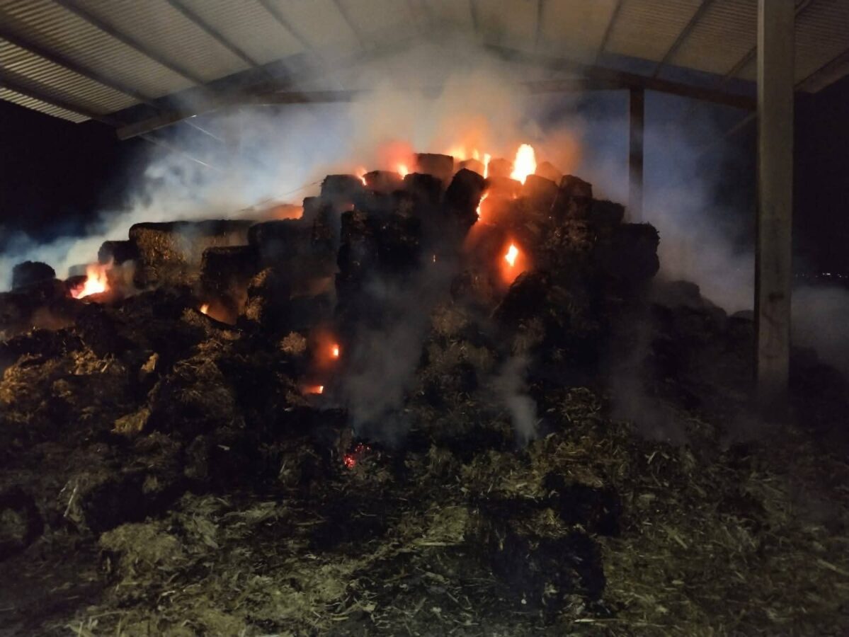 Sofocan incendio en forrajees de Central de Abasto de Actopan