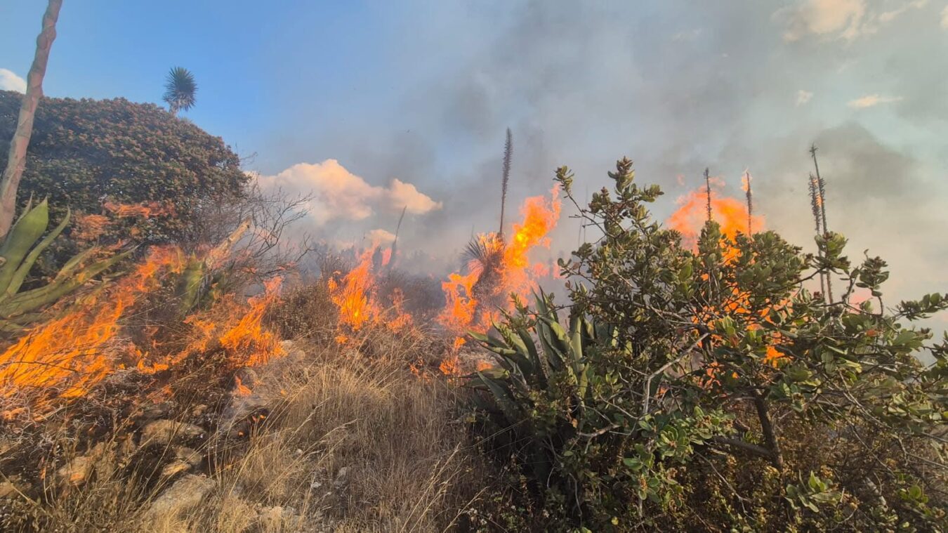 Hidalgo refuerza prevención por temporada de incendios forestales. 