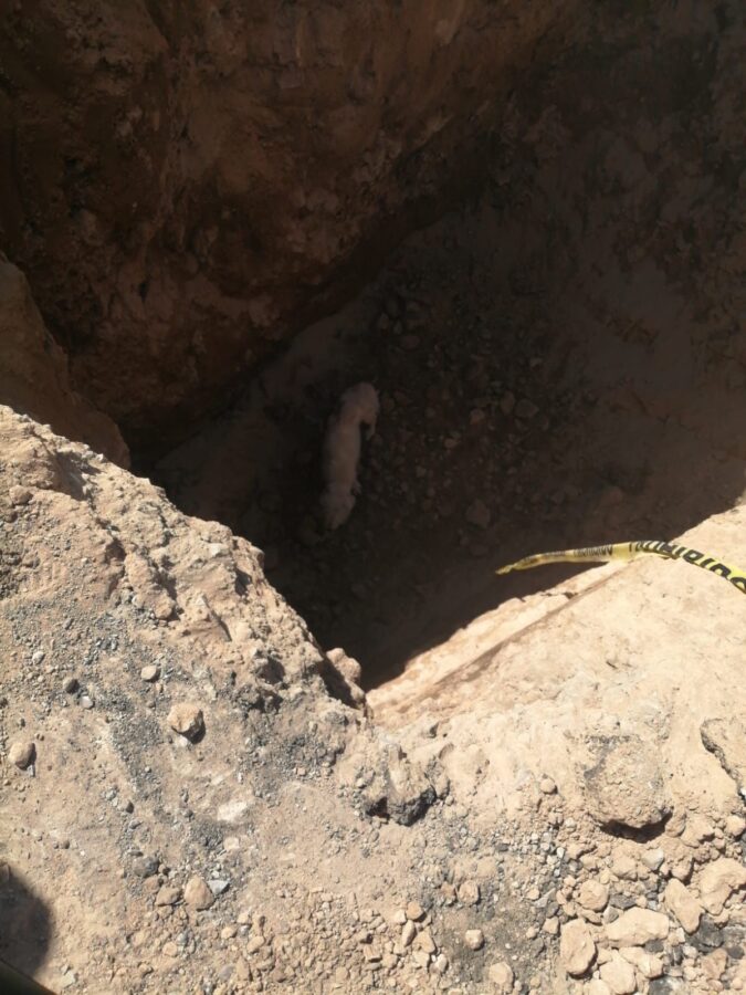 Rescatan a perro de tras caer en una excavación