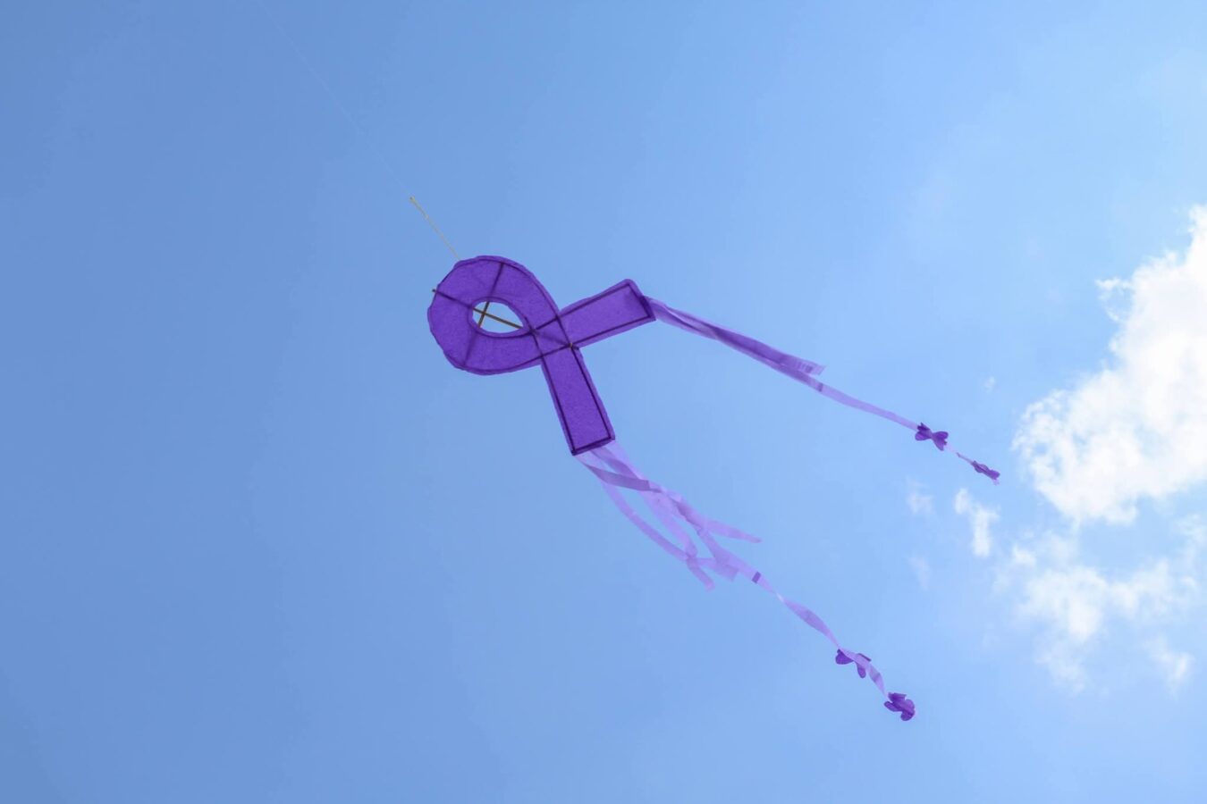 SEPH promueve igualdad de género con concurso de papalotes en Pachuca