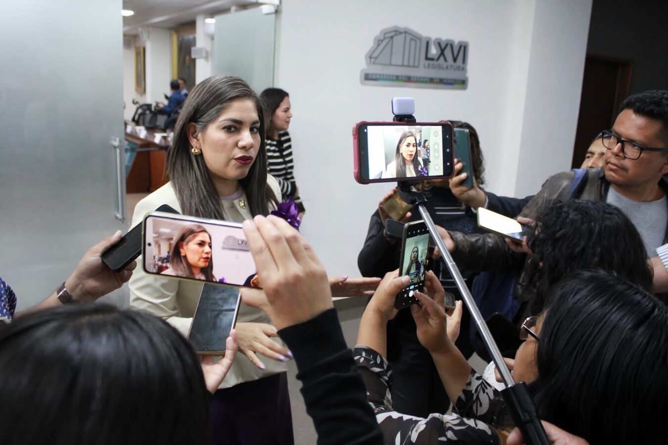 Diputada del PRI acusa fallas legislativas en tema de personas buscadoras.