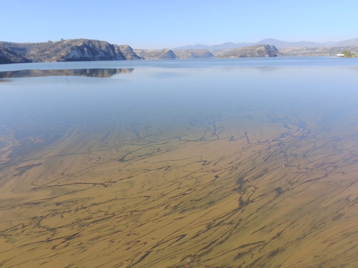 Conagua reporta almacenamiento global del 94.7% en presas de Hidalgo