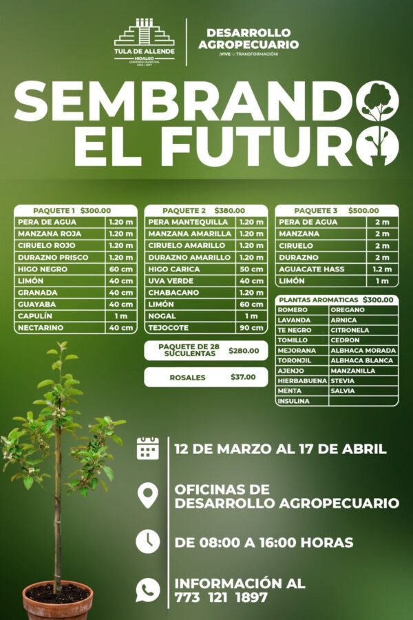 Promueve Tula árboles frutales y plantas aromáticas a bajo costo