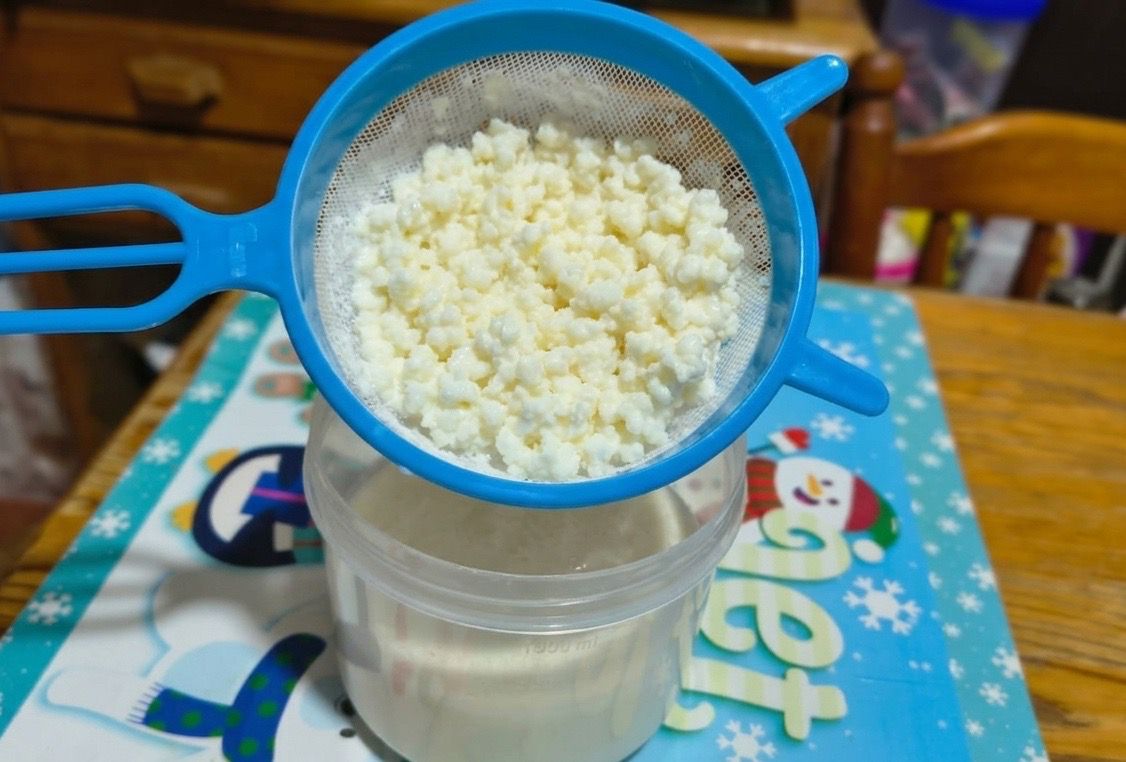 Kéfir: El superalimento milenario que fortalece tu salud