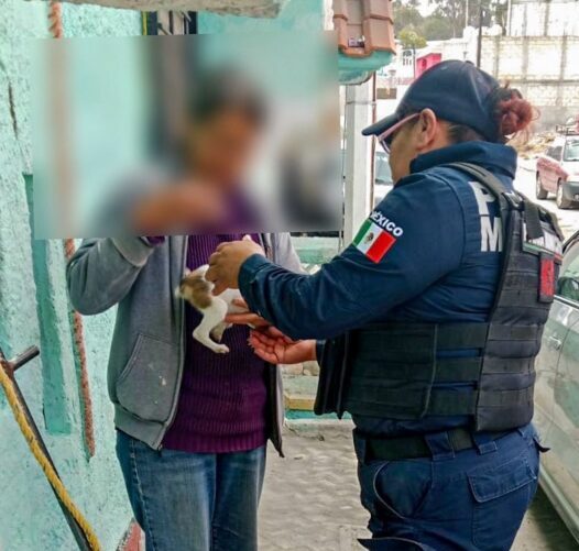 Rescatan a caninos de presunto maltrato en Pachuca