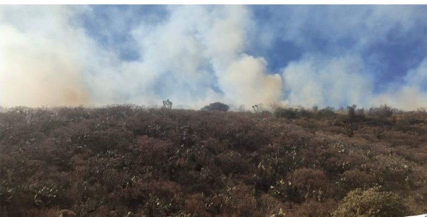 Incendio activo en Tepeapulco moviliza&nbsp;brigadas estatales y municipales