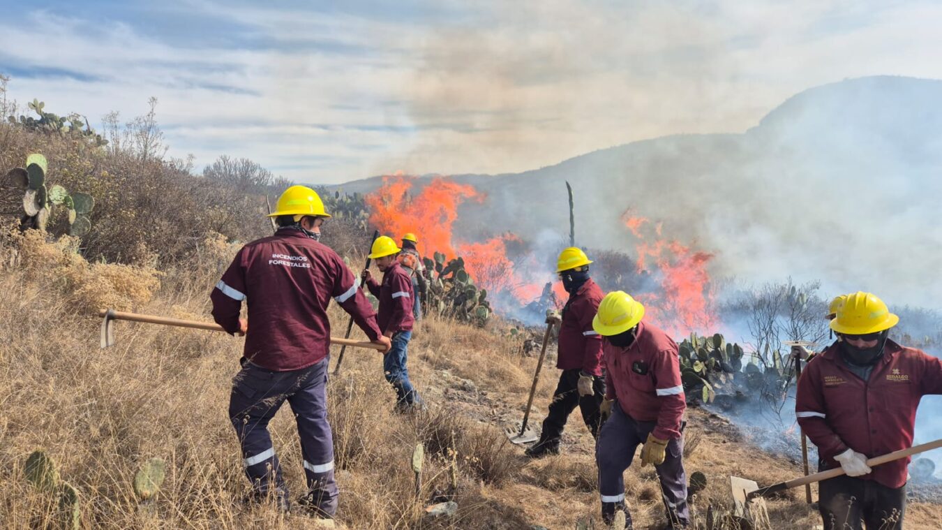 El 60 % de los incendios en Hidalgo son provocados: Semarnath