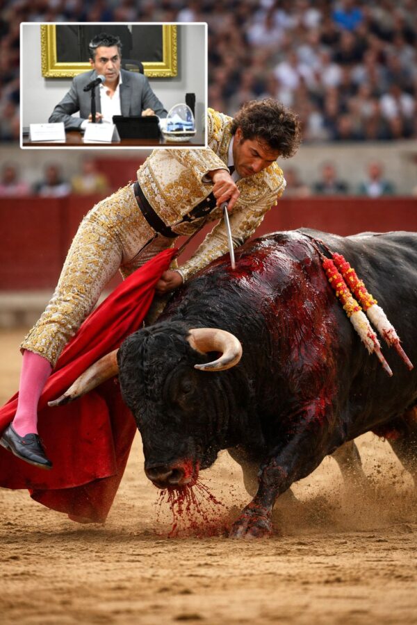 Plantea diputado prohibir actos de crueldad en corridas de toros.