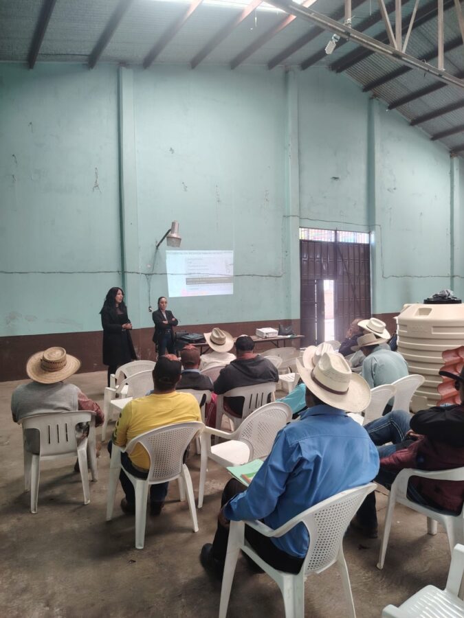 Tulancingo refuerza prevención contra el gusano barrenador.