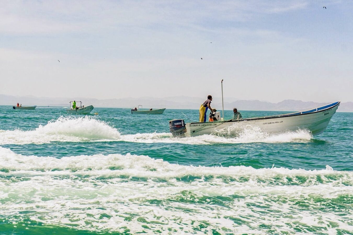 Entregarán apoyos directos a pescadores por derrame de hidrocarburo
