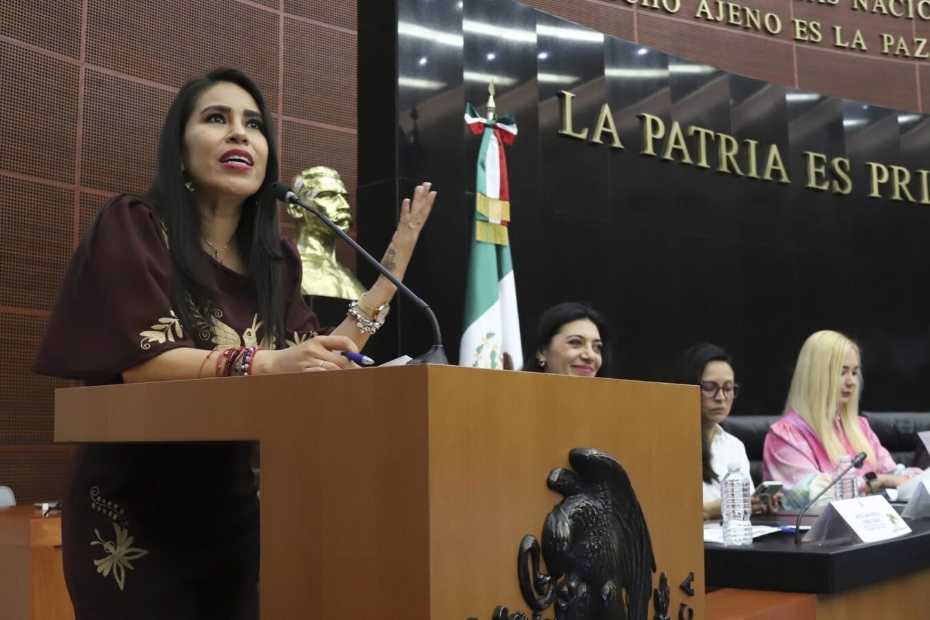 Impulsan igualdad sustantiva en el presupuesto, desde el Senado.