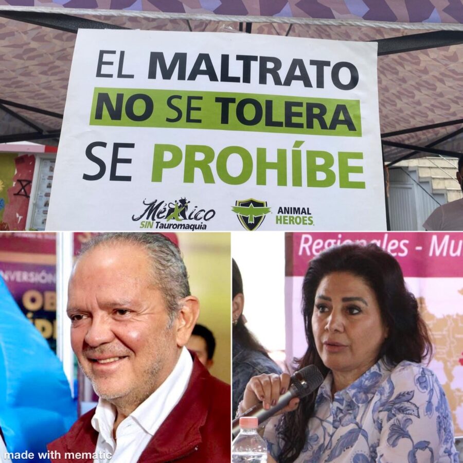 El Correo de las Brujas.