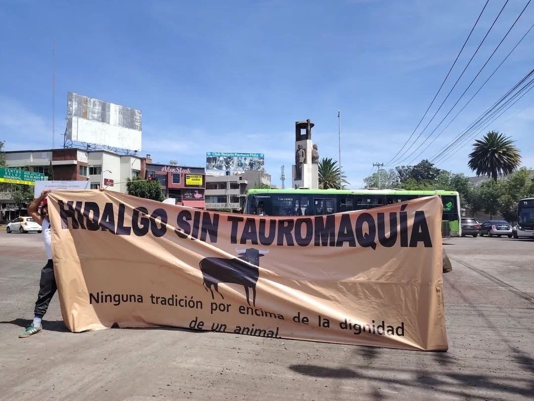 Animalistas protestan contra la tauromaquia en Pachuca y recaban firmas para prohibición
