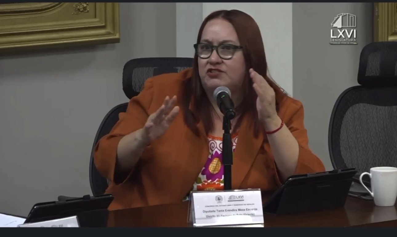 Acusa Tania Meza falla al “enfoque de la izquierda” de diputadas morenistas.