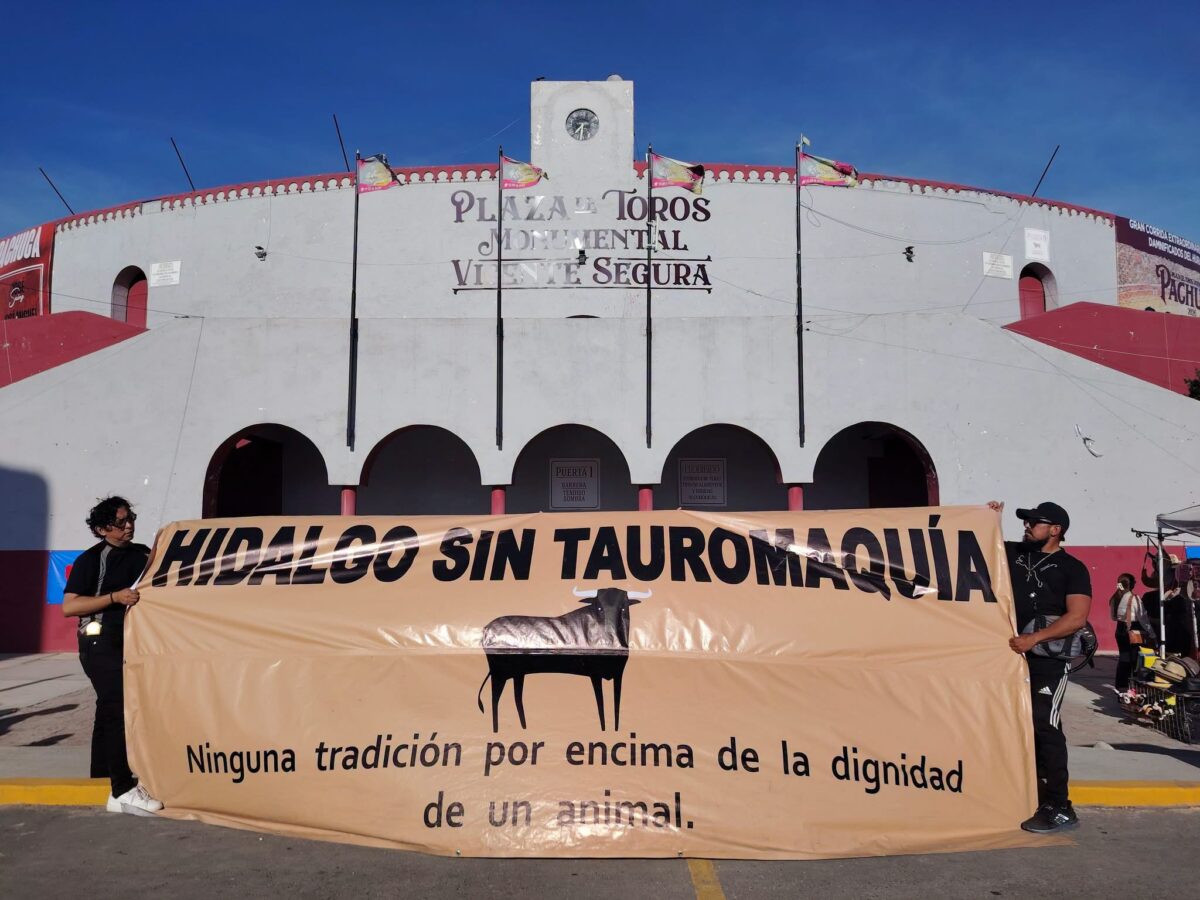 Aplazan corrida en Pachuca por “contexto de debate” sobre tauromaquia.