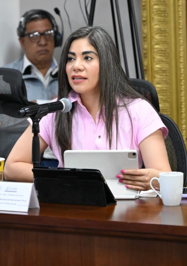 Busca PRI evitar revictimización de menores en procesos legales.