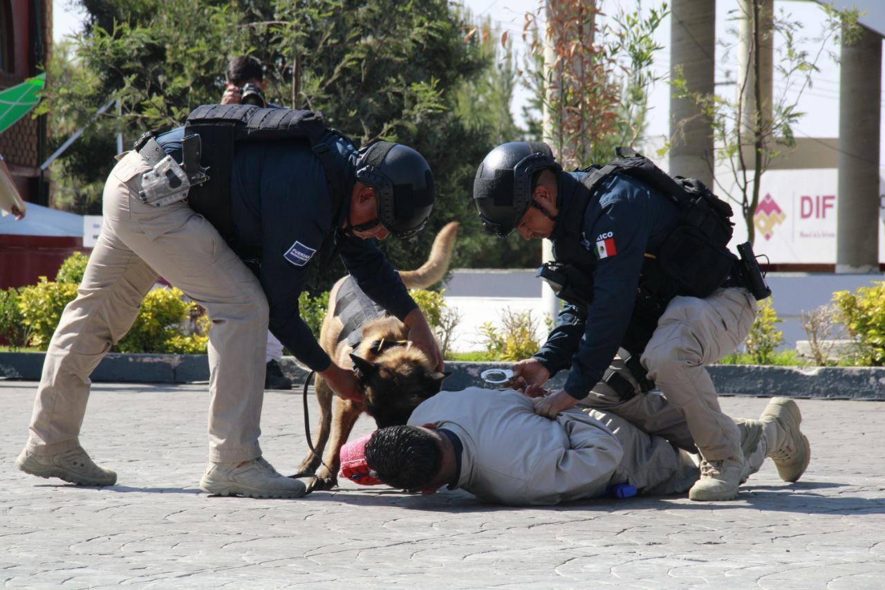 Celebra K9 de Mineral de la Reforma cuatro años de servicio en favor de la población