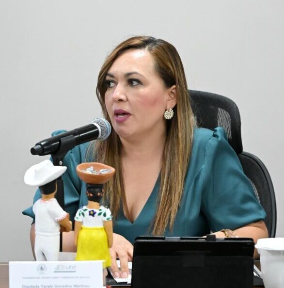 Diputada propone reforzar regulación de juegos mecánicos en ferias de Hidalgo.