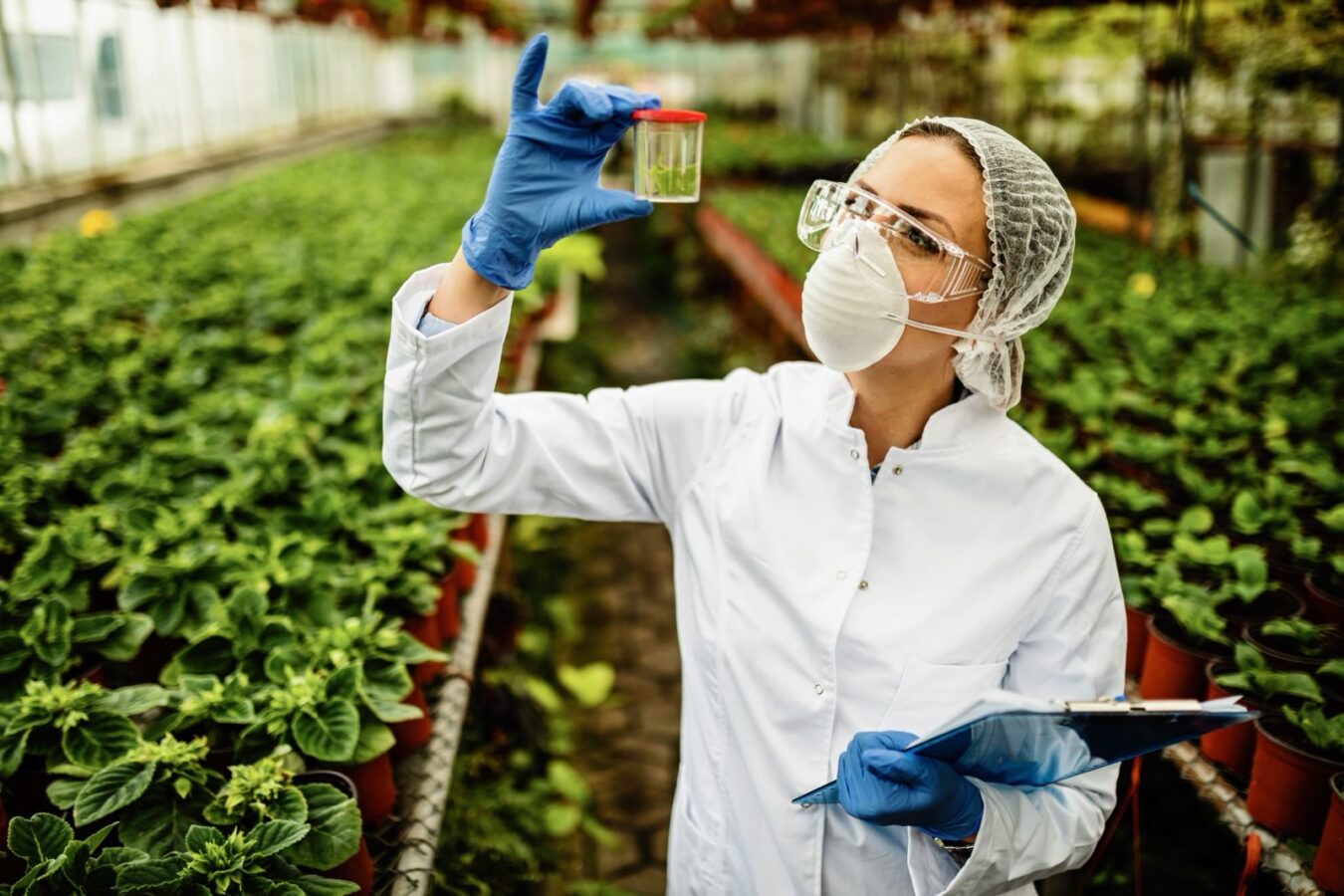 Alianza entre México y Corea del Sur por la inocuidad alimentaria