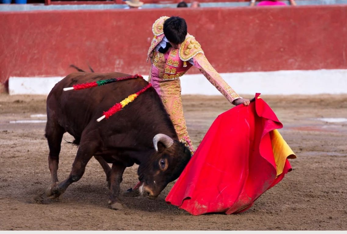 Biofutura&nbsp;entrega&nbsp;análisis jurídico&nbsp;contra&nbsp;corridas de toros&nbsp;al&nbsp;Congreso de Hidalgo