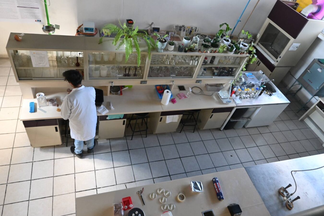 Gobierno de Hidalgo garantiza recursos para la ciencia