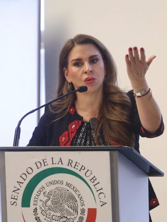 Acusa Carolina Viggiano ataques con bots por críticas al gobierno.