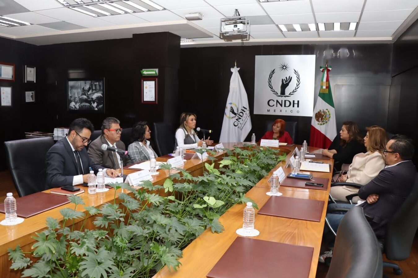 El “modelo Ombudsman” está agotado: Rosario Piedra. 