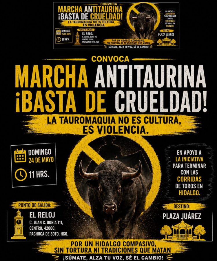 Marcharán en Pachuca contra la tauromaquia y en defensa de los animales