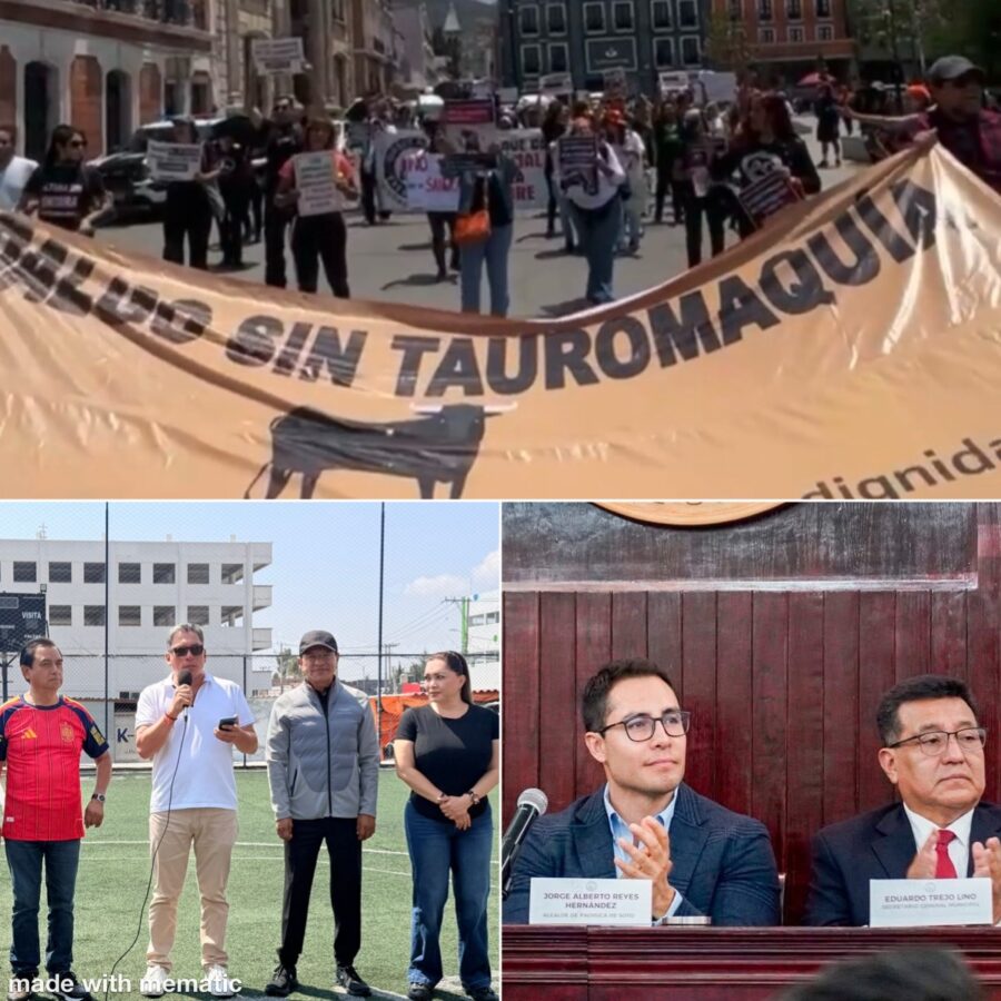 El Correo de las Brujas.