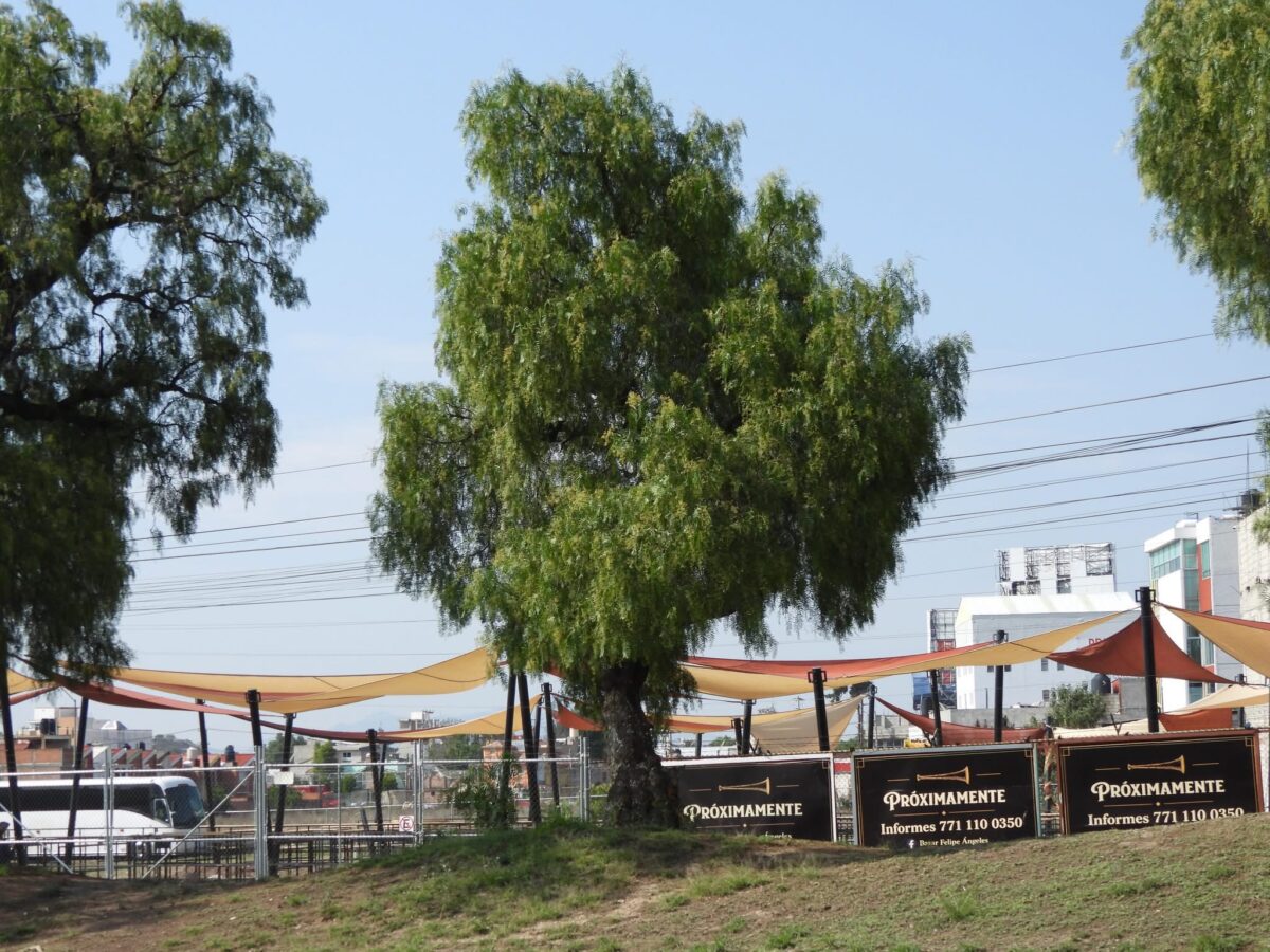 Colectivo cuestiona licitaciones relacionadas con vialidades en Tecnológico y Colosio.