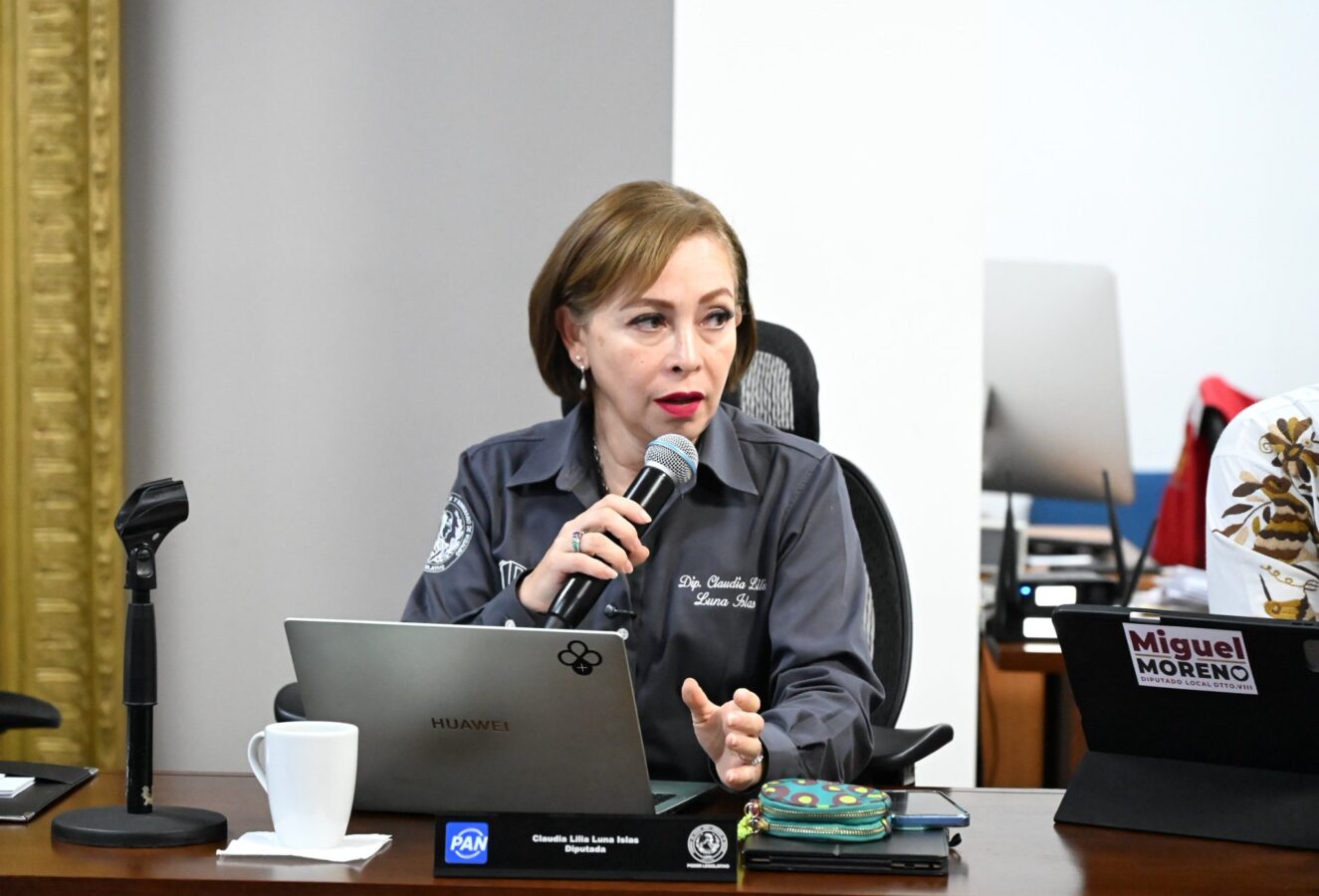 Morena busca extender control en órganos electorales, acusa Claudia Luna.