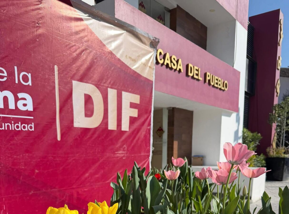 Atiende DIF de Mineral de la Reforma a mujer en crisis