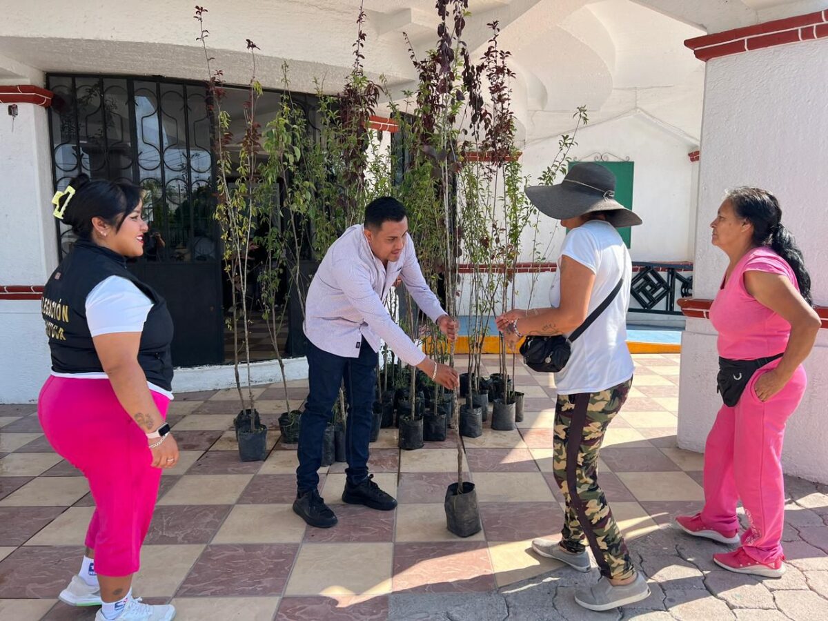 Fortalece Zapotlán de Juárez el cuidado ambiental con entrega de árboles frutales
