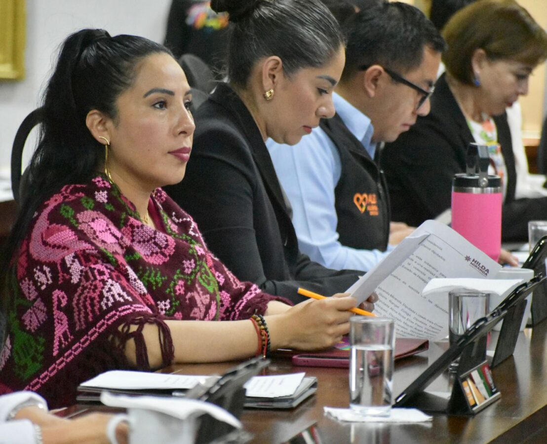 Iniciativa para crear el Registro Estatal de Abuso y Negligencia Infantil (REANI) en Hidalgo