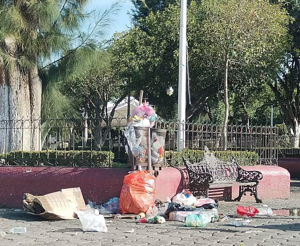 Regidora del PVEM cuestiona propuesta para recibir basura de otros municipios en Apan