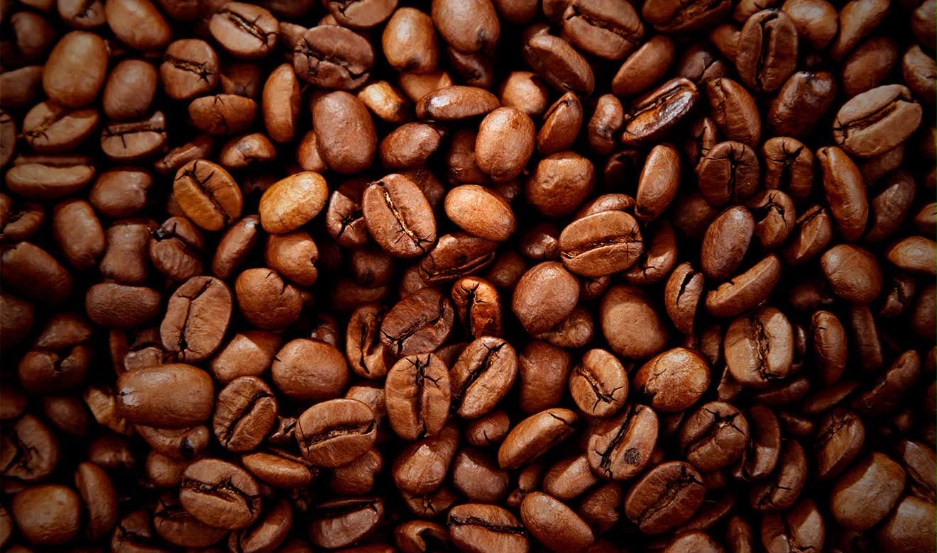 ¿Consumo moderado de café reduce riesgo de demencia y Alzheimer?