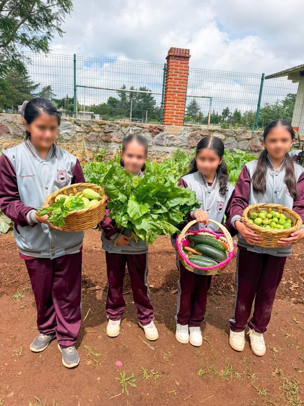 El huerto escolar que está transformando una primaria de Huasca