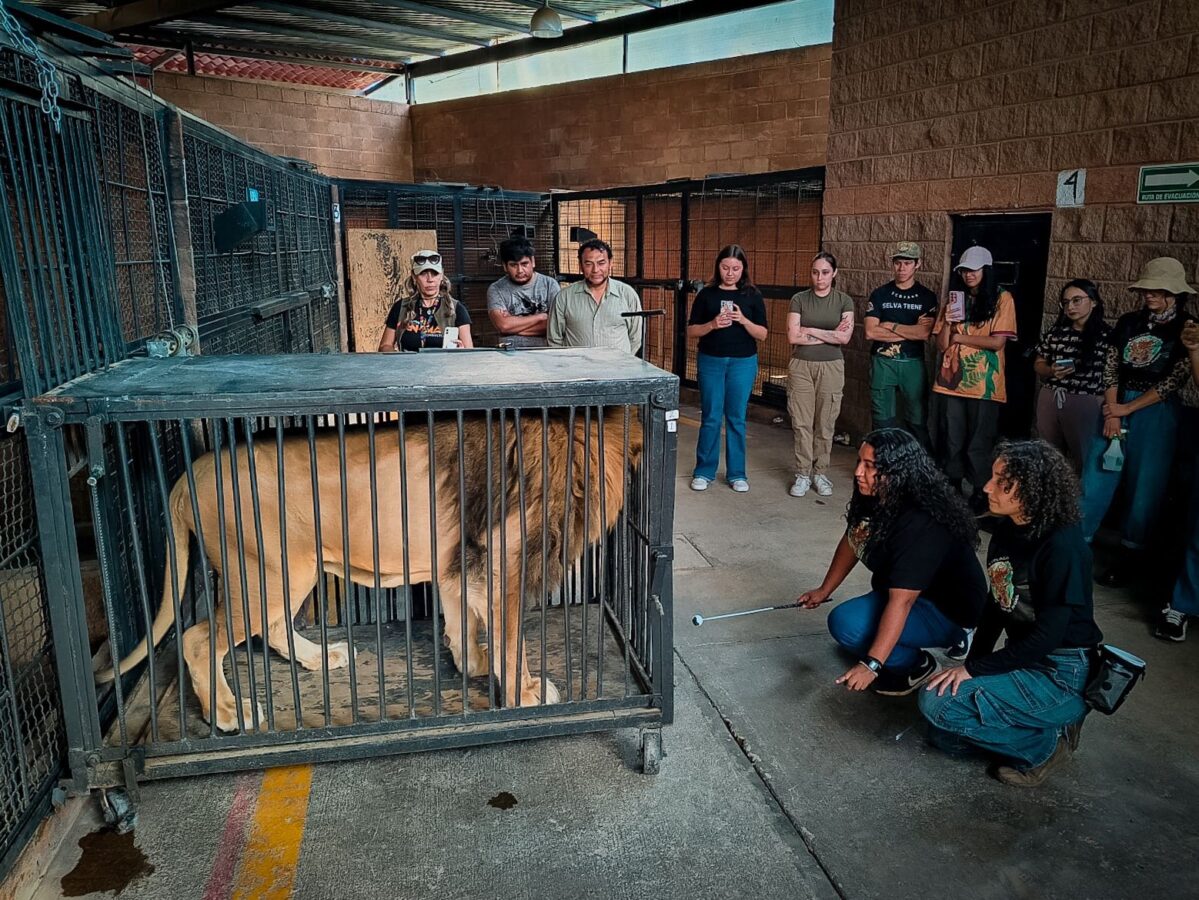 Refuerza&nbsp;Pachuca&nbsp;profesionalización en&nbsp;bienestar animal&nbsp;y&nbsp;conservación de fauna silvestre