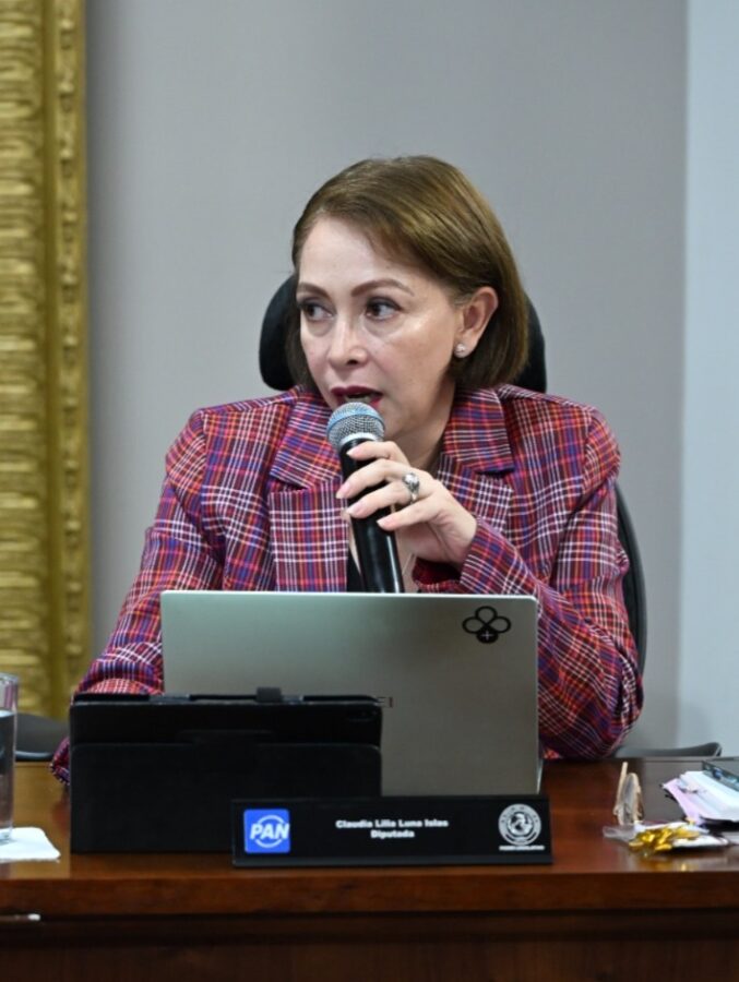 Busca PAN elevar a rango constitucional el acceso universal a internet en Hidalgo.