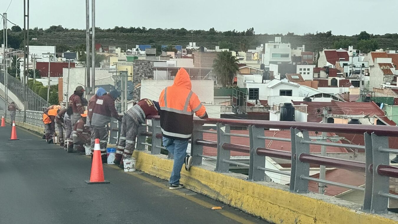Remplazan en Hidalgo señalización reglamentaria en infraestructura vial con “color morena”. 